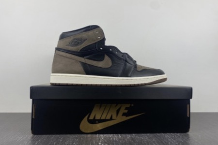 Air Jordan 1 Retro High OG "Palomino" Style Code: DZ5485-020